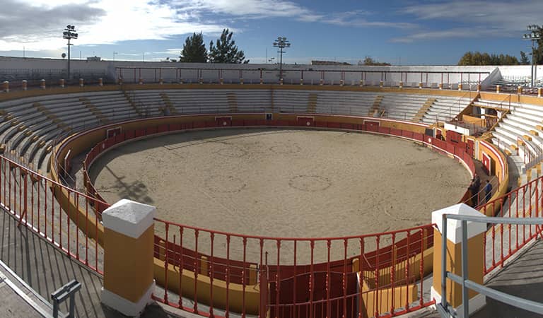 Tendido de la Plaza de Cartaxo
